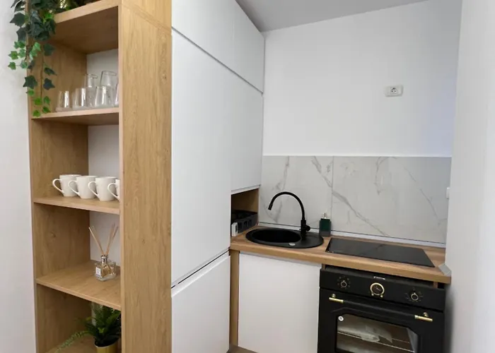 Apartament Center Victoriei St Bucureşti